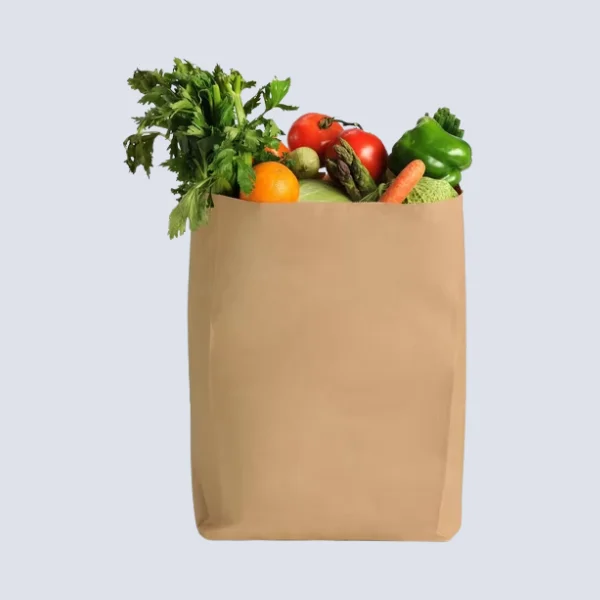 Paper Grocery Bags